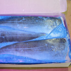 Dorsz Atlantycki Filet ze Skórą Mrożony | Hurtownia Rybna O-fish.pl