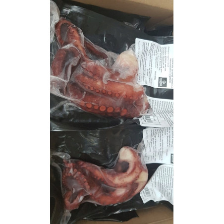 Macki Ośmiornicy Mrożone 250g | Hurtownia Rybna O-fish.pl