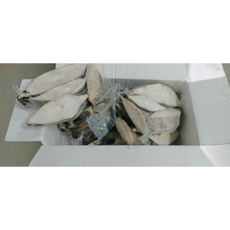 Halibut soczyste steki dzwonko bez glazury – mrożone | O‑fish.pl