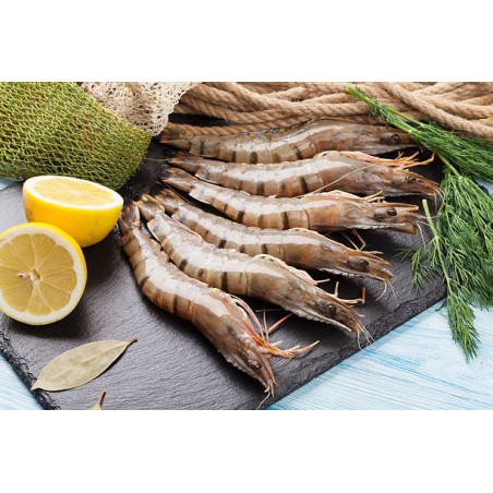 Krewetki Black Tiger 1 kg (16/20) - Surowe, Całe | O-Fish.pl