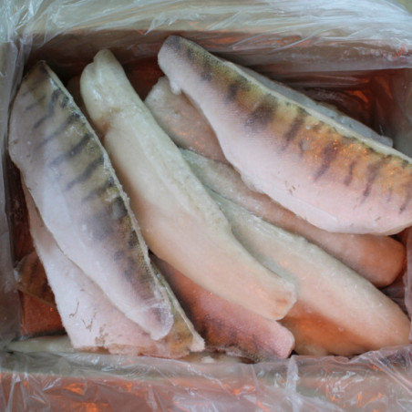 2 kg Sandacz filet - mrożony filet do gastronomii | O-fish.pl