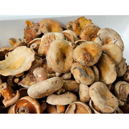 Rydz mleczaj mrożony cały 2kg - Grzyby leśne | O-fish.pl