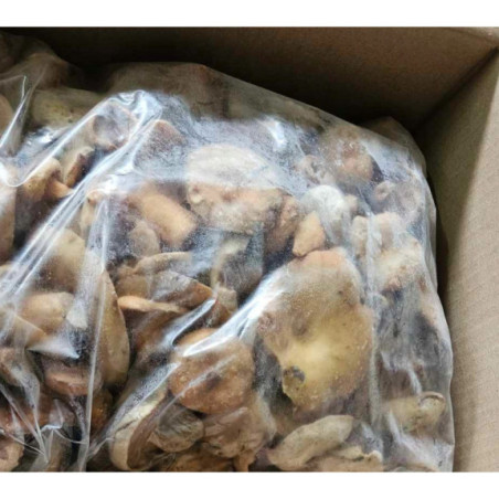 Rydz mleczaj mrożony cały 2kg - Grzyby leśne | O-fish.pl