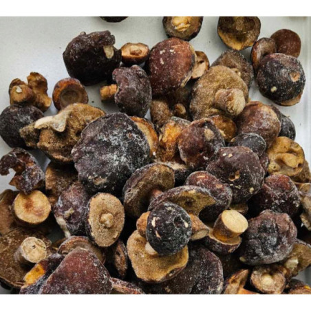 Podgrzybek Cały Mrożony 2kg - Aromatyczne Grzyby Leśne | O-fish.pl