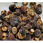 Podgrzybek Cały Mrożony 2kg - Aromatyczne Grzyby Leśne | O-fish.pl