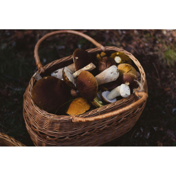 Podgrzybek Cały Mrożony 2kg - Aromatyczne Grzyby Leśne | O-fish.pl