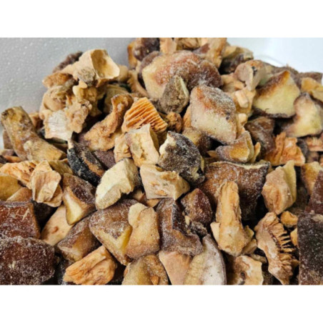 Grzyby leśne mix 2 kg - Mrożone, Oczyszczone | Hurtownia O-fish