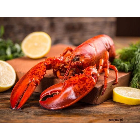 Homar Amerykański gotowany mrożony 2 szt. | O-fish.pl
