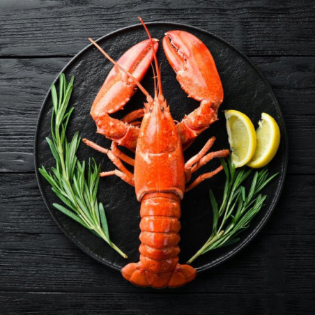 Homar Amerykański gotowany mrożony 2 szt. | O-fish.pl