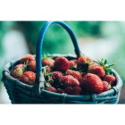 Truskawki Mrożone 2,5 kg | Całe Owoce | Szybka Dostawa