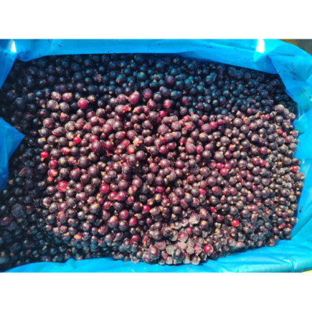 Czarna Porzeczka Mrożona 2,5 kg IQF | Hurtownia O-fish.pl