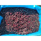 Czarna Porzeczka Mrożona 2,5 kg IQF | Hurtownia O-fish.pl