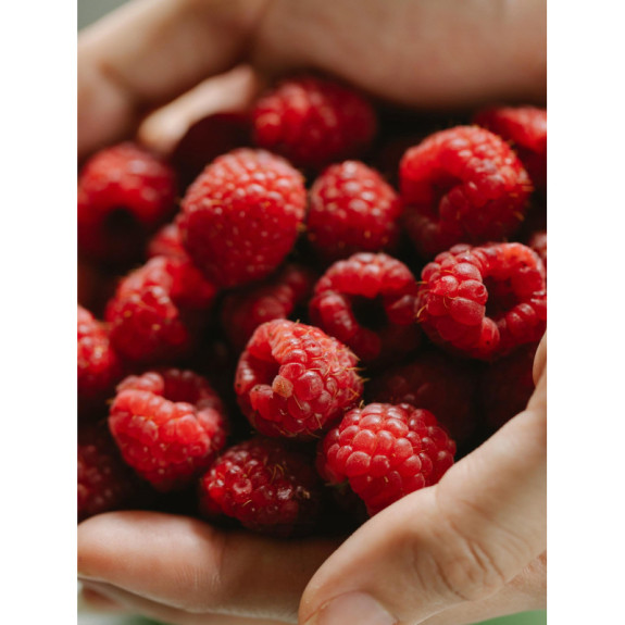 Maliny całe mrożone IQF 2,5 kg | Hurtownia O-fish.pl