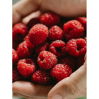 Maliny całe mrożone IQF 2,5 kg | Hurtownia O-fish.pl