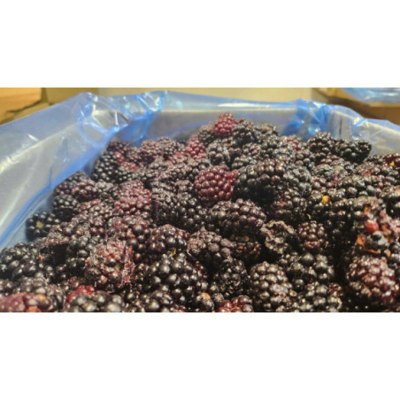 Jeżyny leśne mrożone IQF 2,5 kg | Hurtownia O-fish.pl