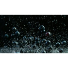 Jagoda leśna mrożona 2,5 kg - O-fish.pl