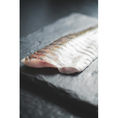 2 kg Sandacz filet - mrożony filet do gastronomii | O-fish.pl