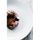 Macki Ośmiornicy Mrożone 250g | Hurtownia Rybna O-fish.pl