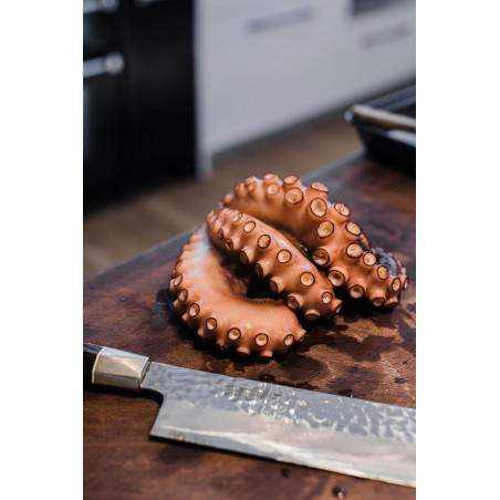 Macki Ośmiornicy Mrożone 250g | Hurtownia Rybna O-fish.pl