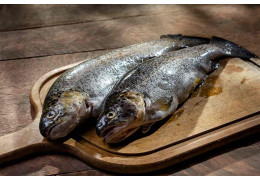 Pstrąg - kompendium wiedzy