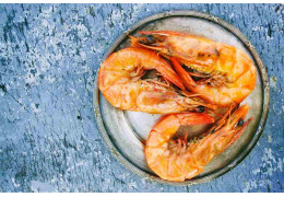 Krewetki -  najczęstsze pytania od klientów