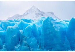 Jak szybko rozmrozić rybę? - poznaj skuteczne triki