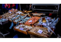 Najzdrowsza ryba? Poznaj top 10!